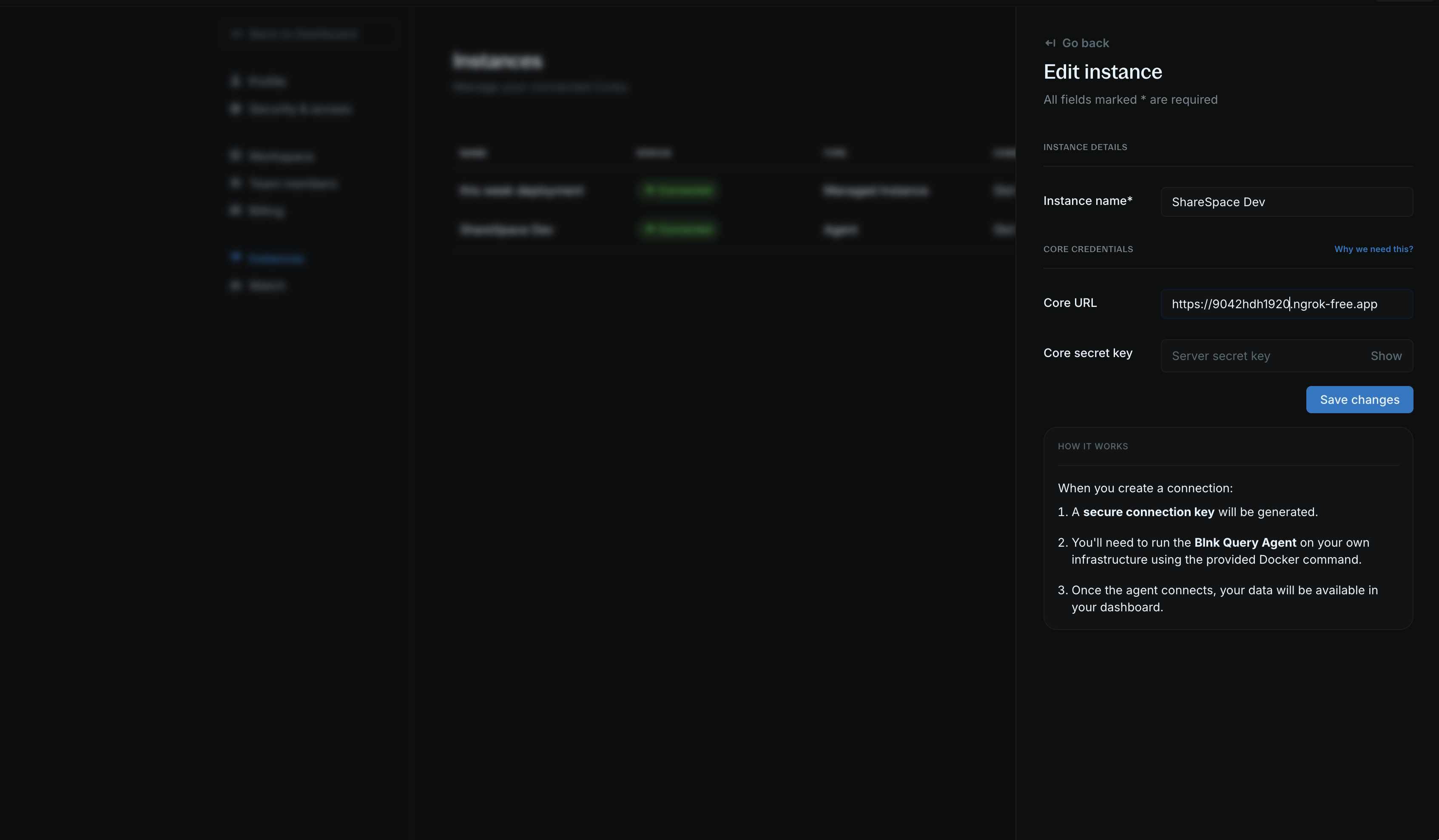 Edit instance form showing Core URL and secret key fields