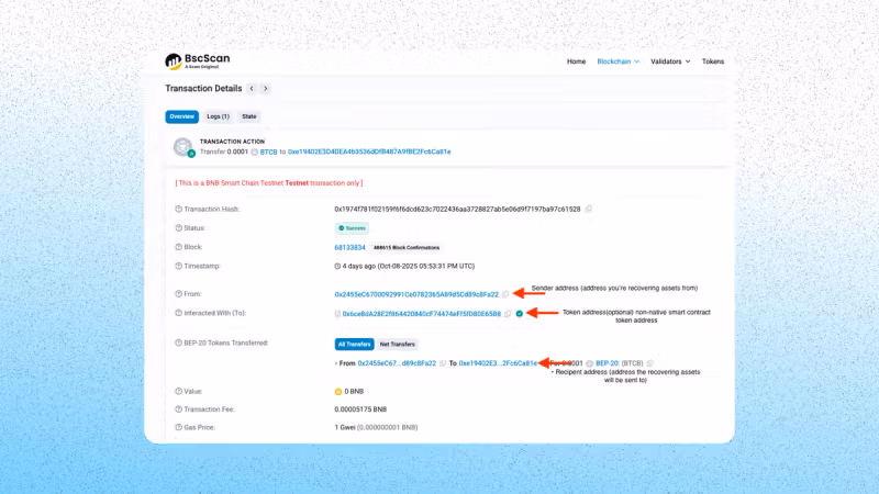 Bitcoin custom token on BNB chain