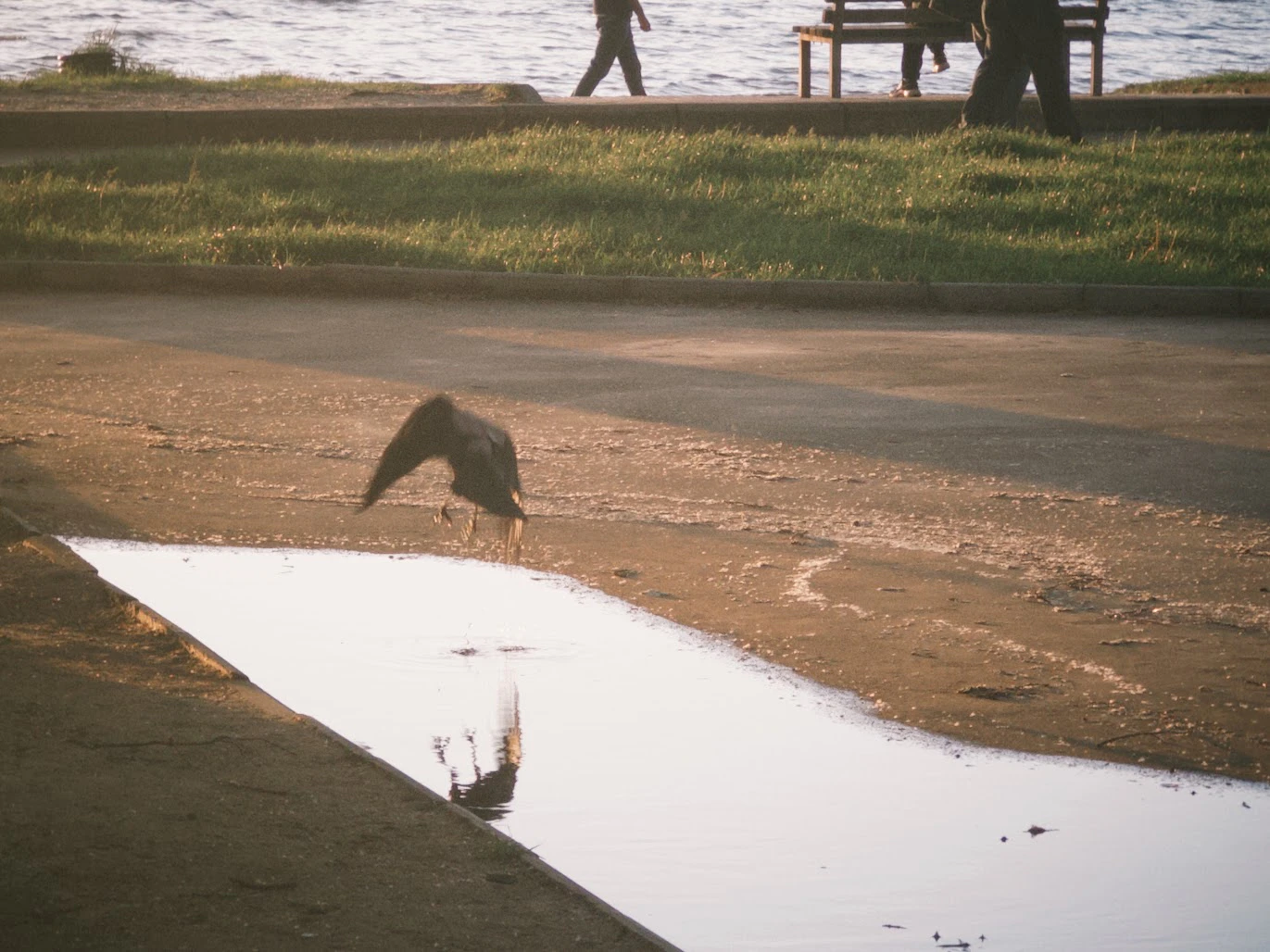 ლისის ტბის ხედი 2