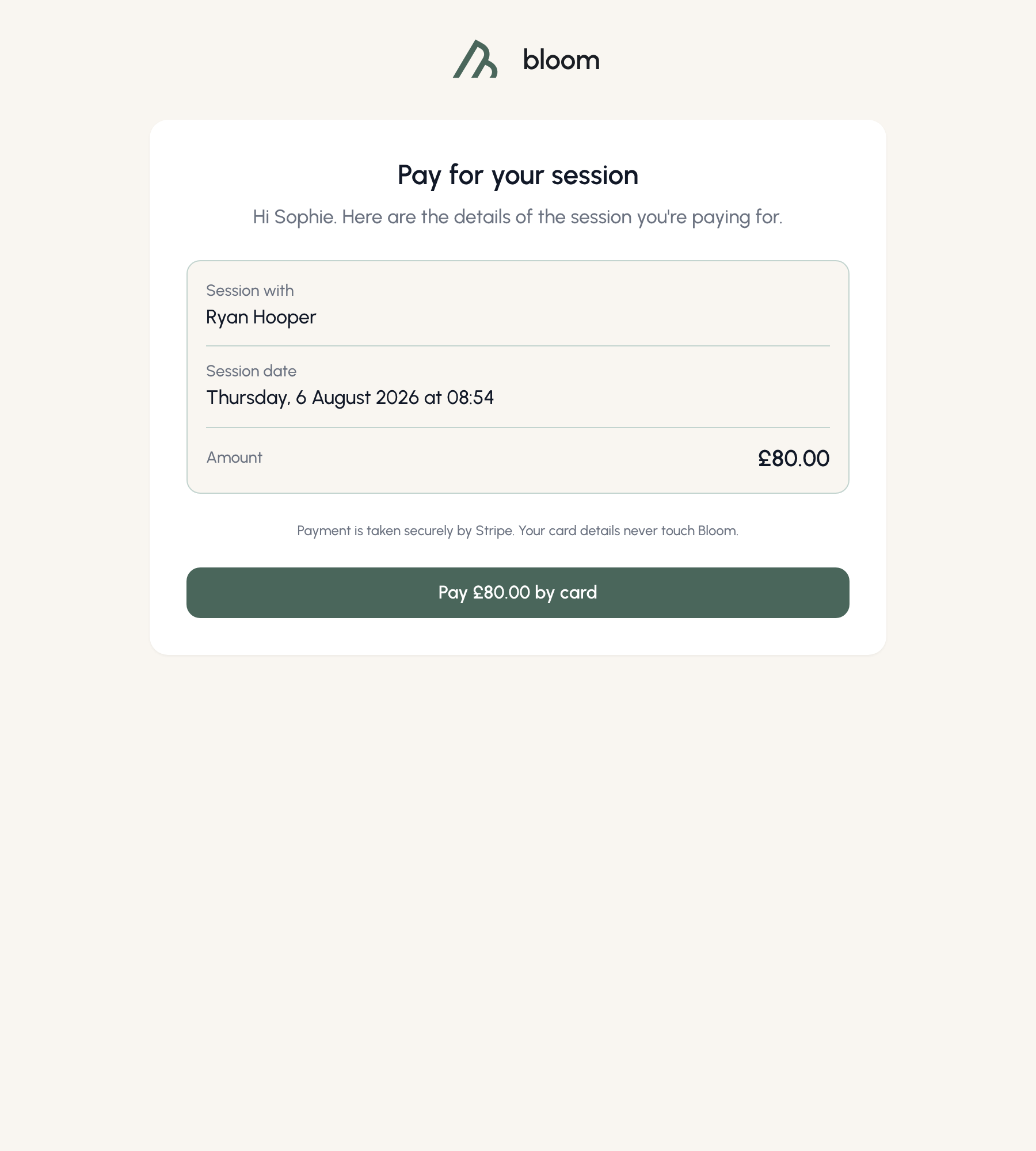 The client-facing payment page