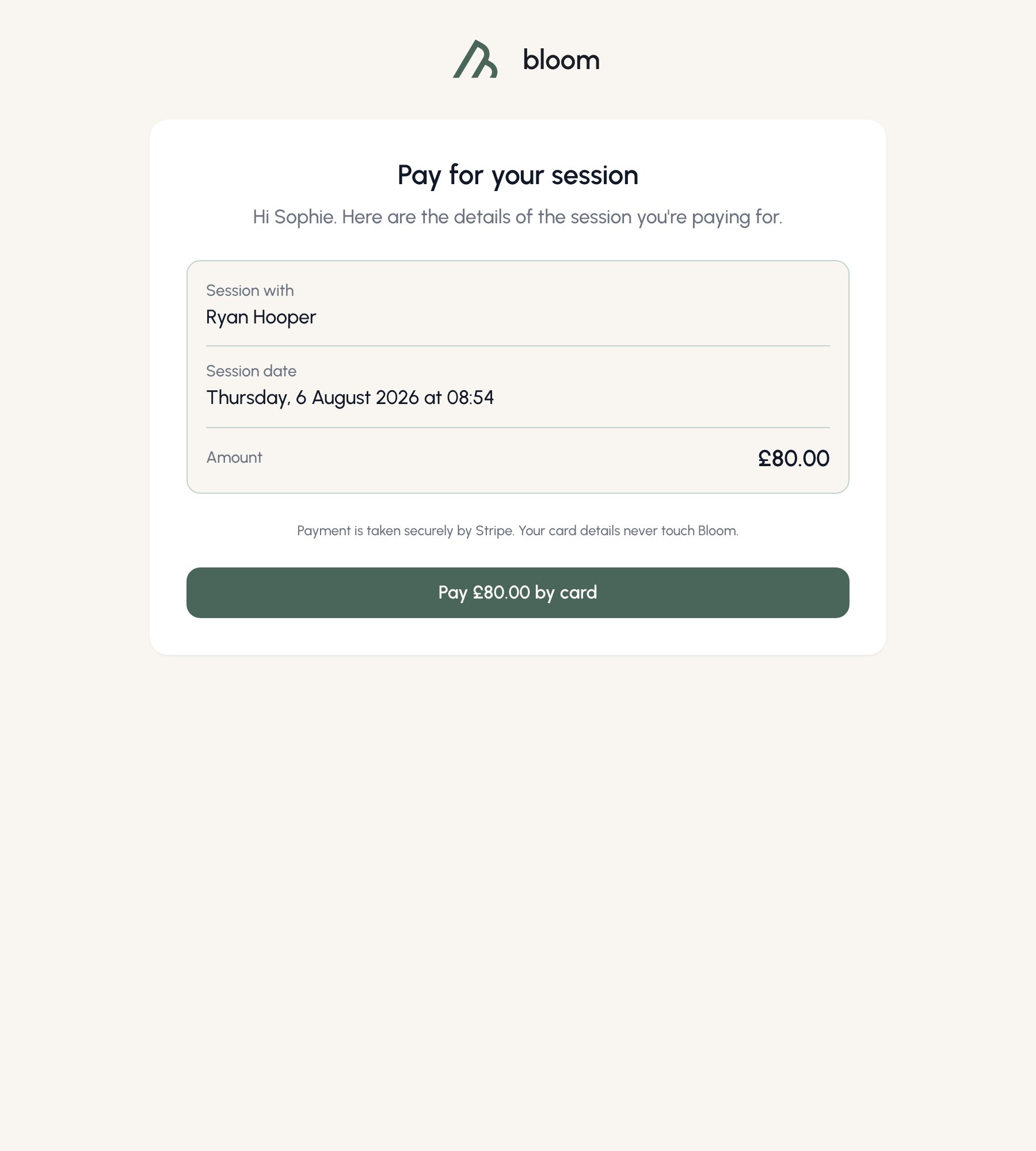 The client-facing payment page