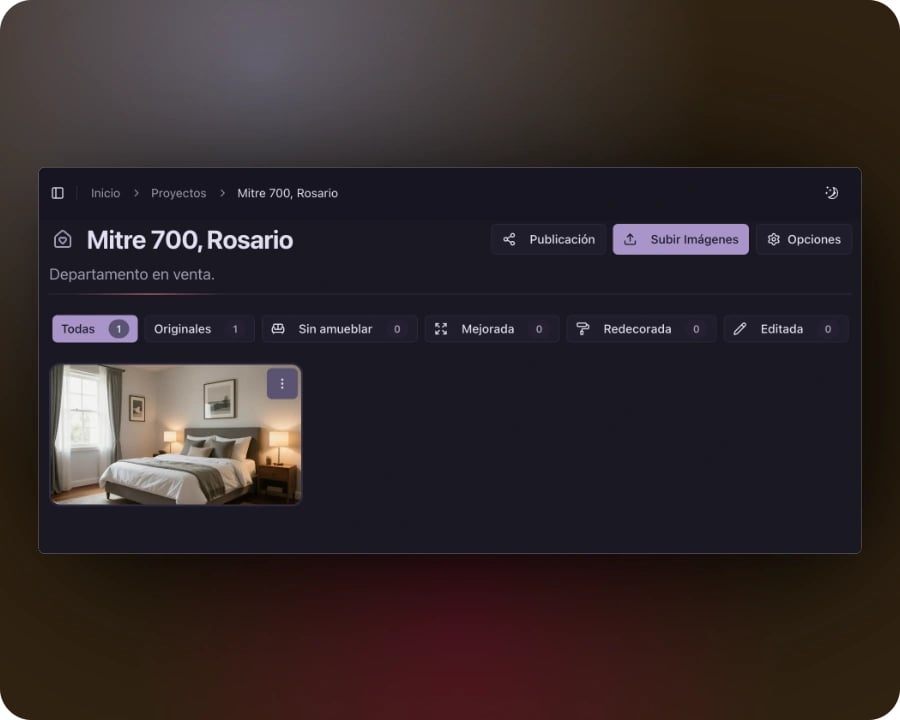 Galería de imágenes del proyecto mostrando todas las fotos cargadas con filtros de transformación