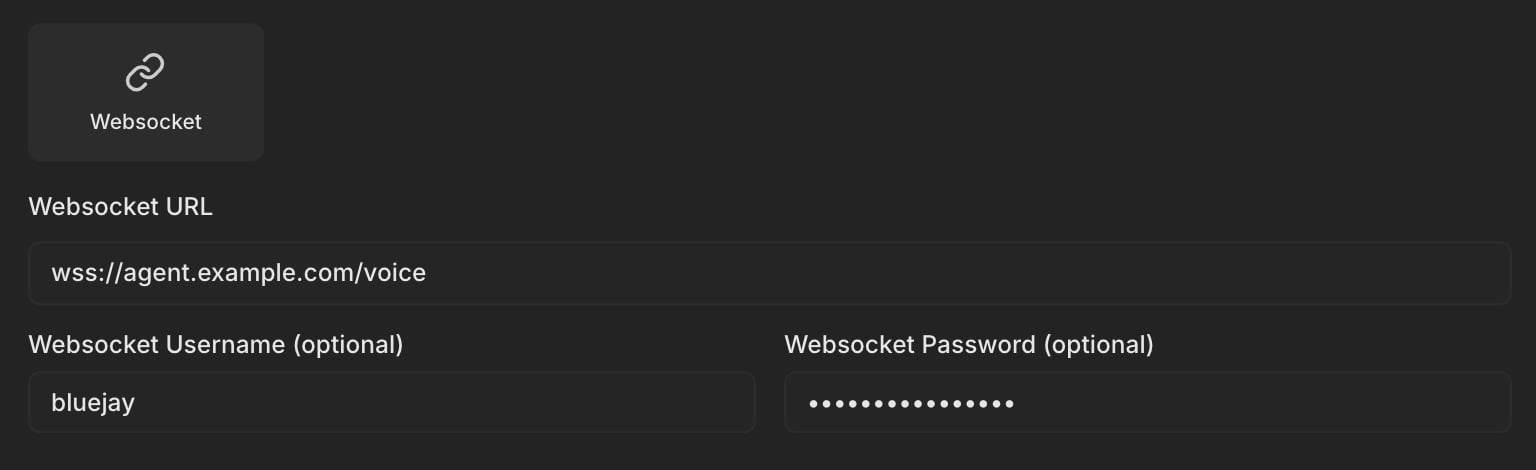 The Websocket connection fields with a Websocket URL, a username, and a password filled in