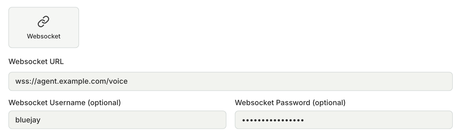 The Websocket connection fields with a Websocket URL, a username, and a password filled in