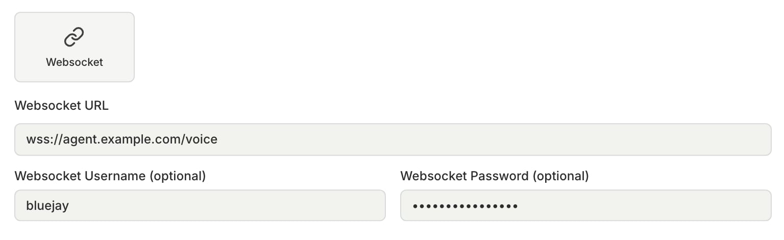 The Websocket connection fields with a Websocket URL, a username, and a password filled in