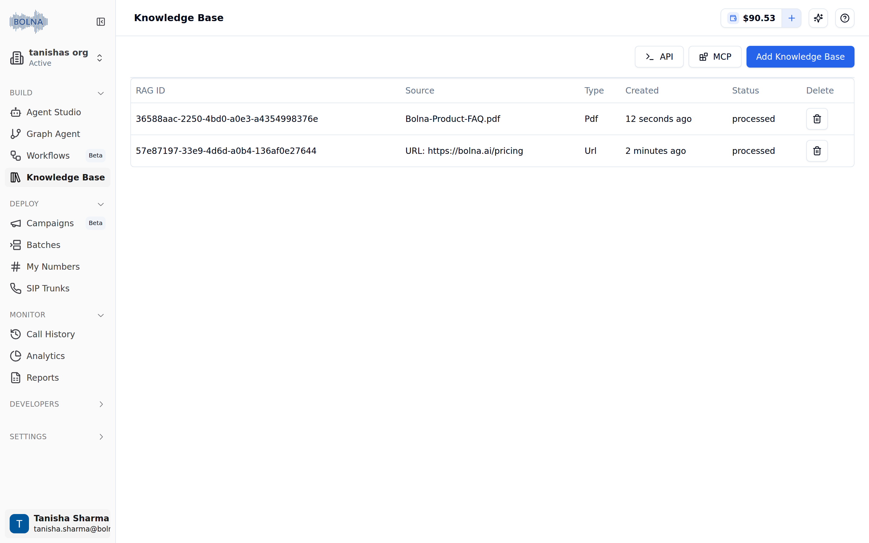Knowledge Base page with API, MCP and Add Knowledge Base buttons above a table of sources showing RAG ID, Source, Type Pdf and Url, Created, Status processed and a Delete action