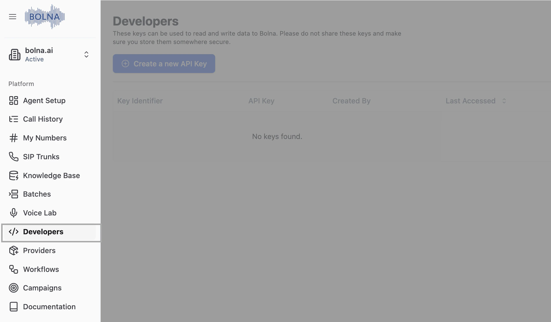 Bolna dashboard navigation showing the Developers tab