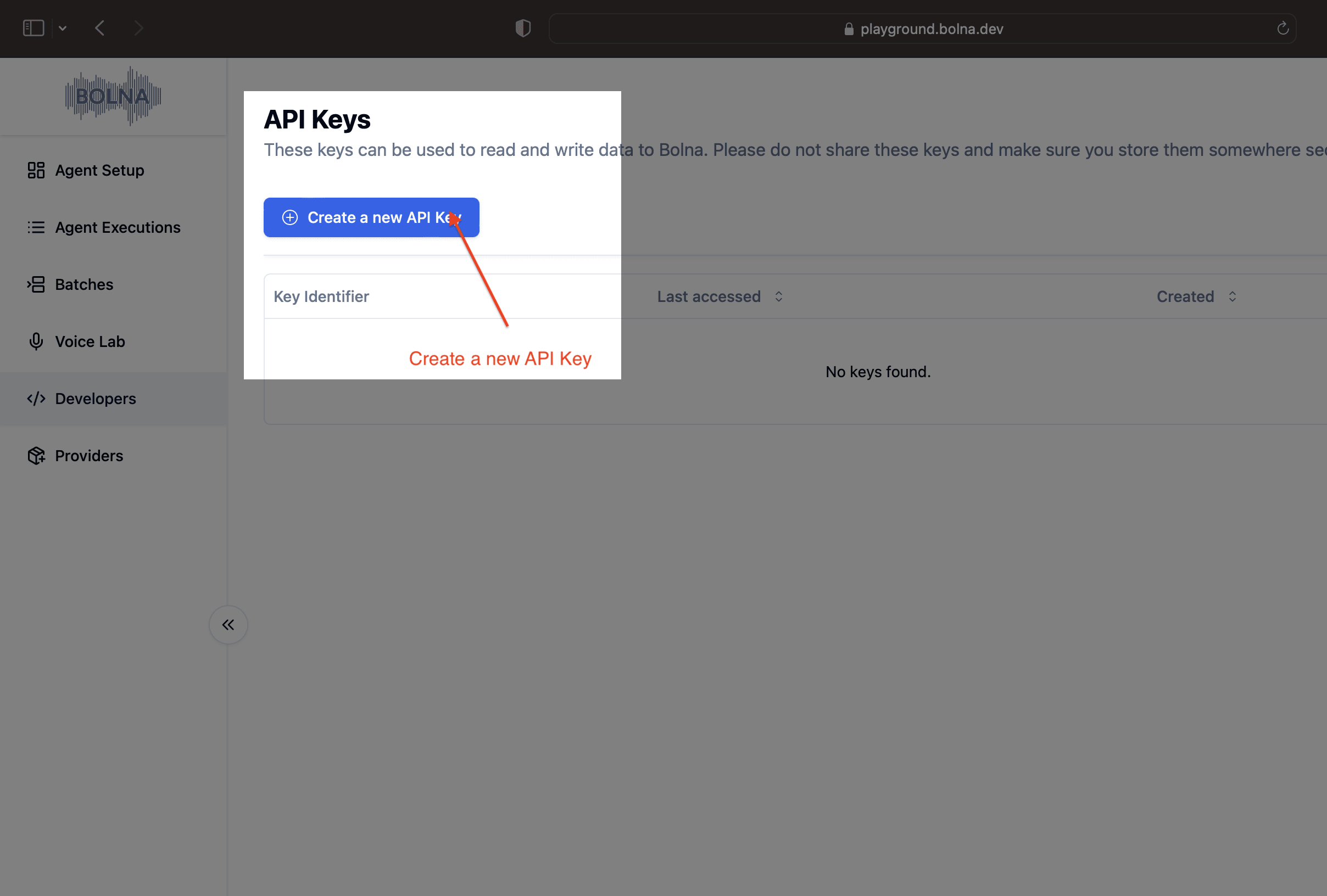 Bolna API Developers section showing how to generate an API Key