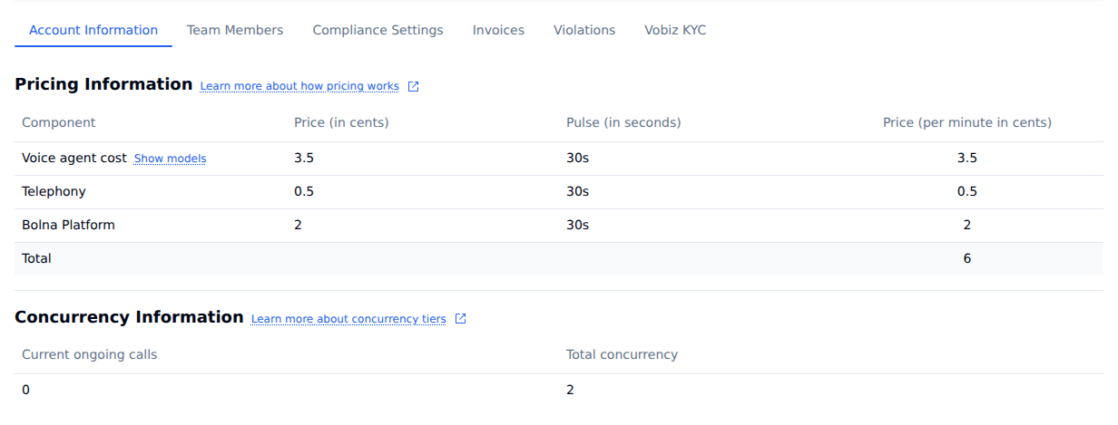 Workplace settings Account Information tab with a Pricing Information table for voice agent cost, telephony and Bolna platform, and a Concurrency Information table showing current ongoing calls and total concurrency