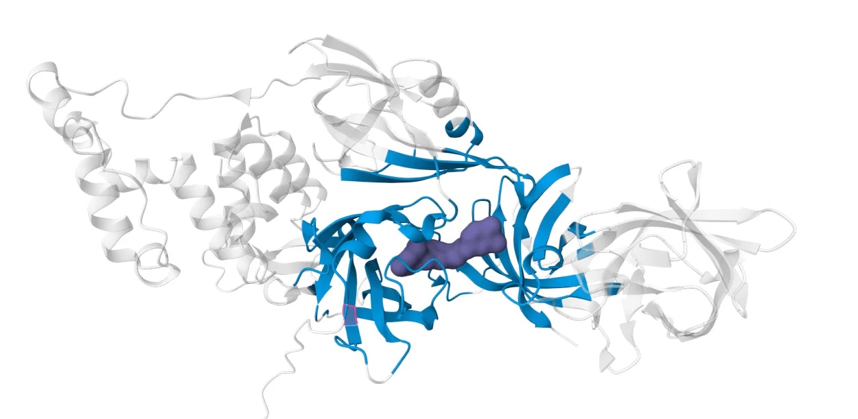 Molecular glue binding at protein-protein interface