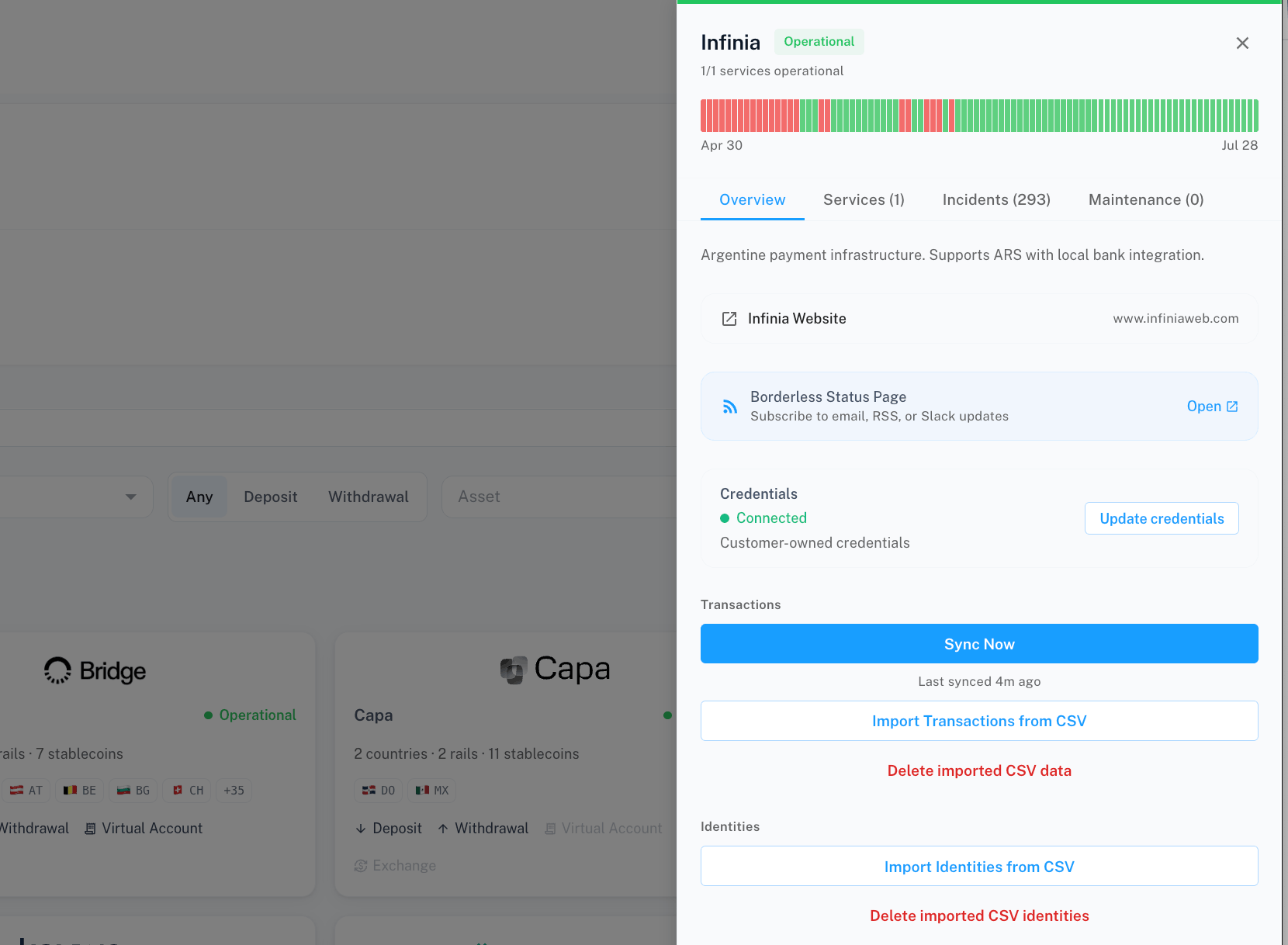 Provider Overview tab with Sync Now and Import Transactions from CSV