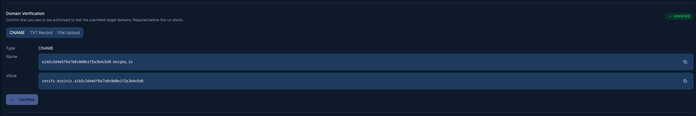 Domain verification showing all checks passed