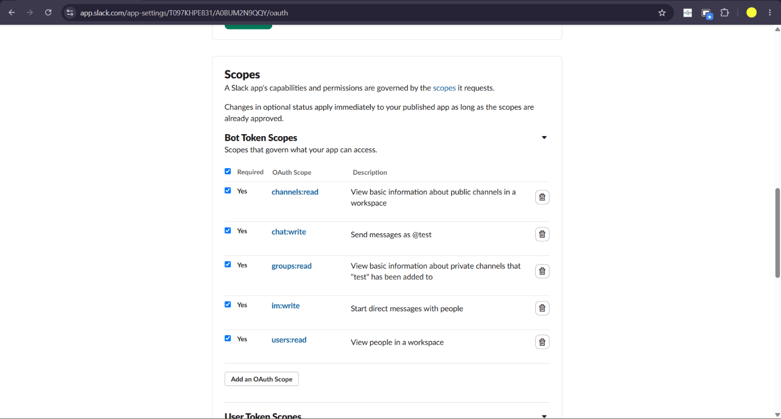 Bot Token Scopes list including chat write, im write, users read, channels read, and groups read