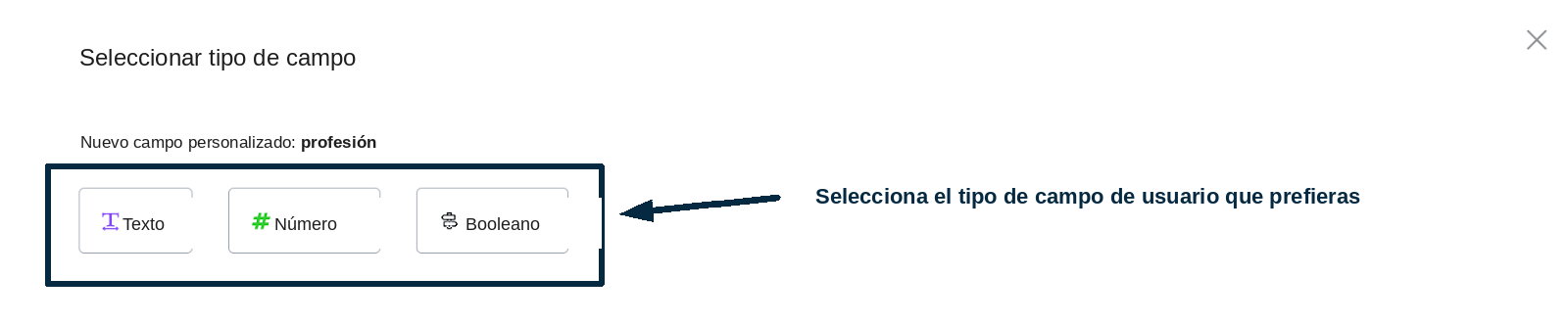 Selección del tipo de campo al crearlo sobre la marcha