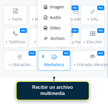 Pregunta configurada para recibir un archivo multimedia