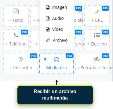 Pregunta configurada para recibir un archivo multimedia