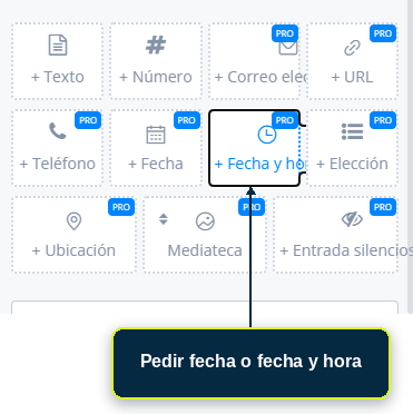 Pregunta configurada para pedir fecha o fecha y hora
