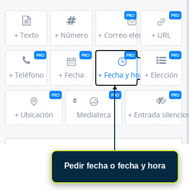 Pregunta configurada para pedir fecha o fecha y hora