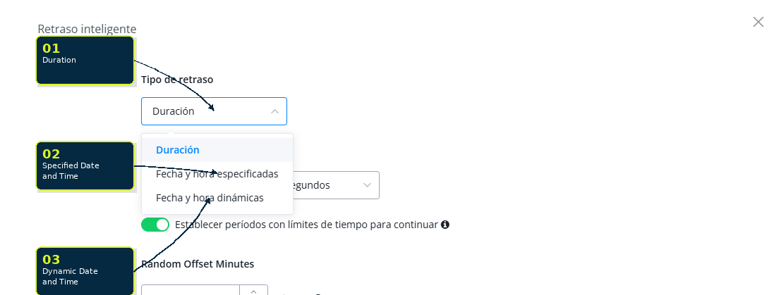Configuración del campo Delay Type con sus tres opciones