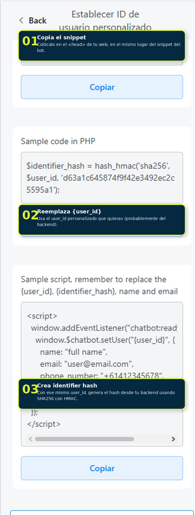 Snippet de Custom User ID en el sitio