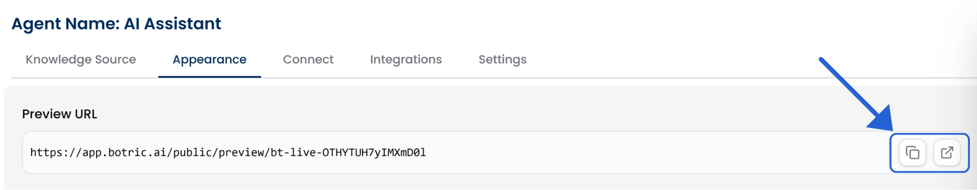 Preview URL to test Chat Agent