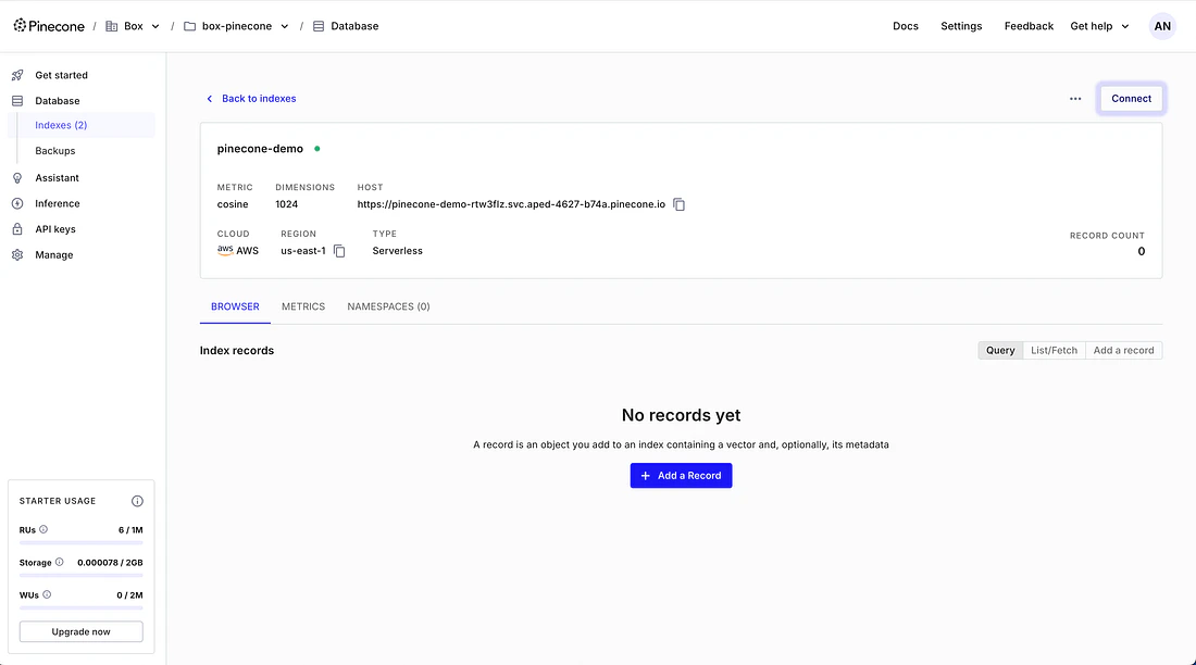 Pinecone index screen