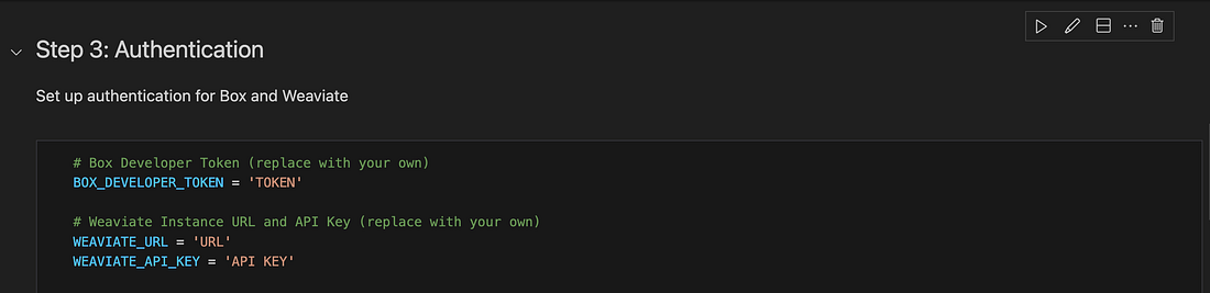 Authentication variables in the notebook