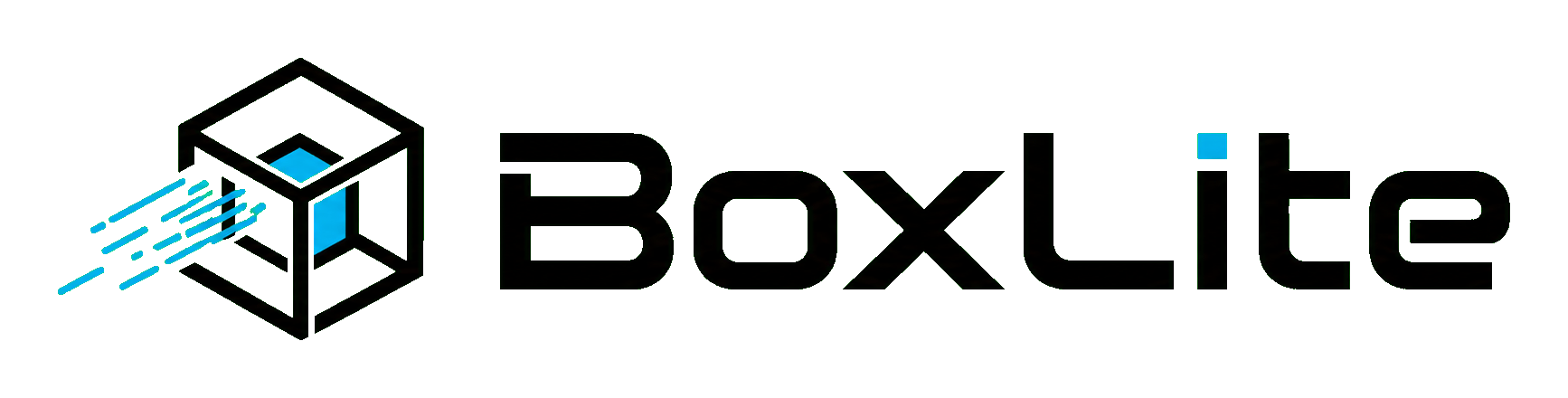 light logo