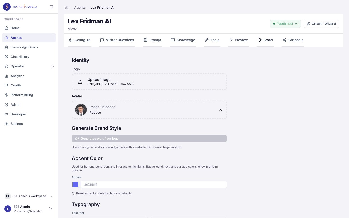 Brand tab showing branding, chat, and variable form sections