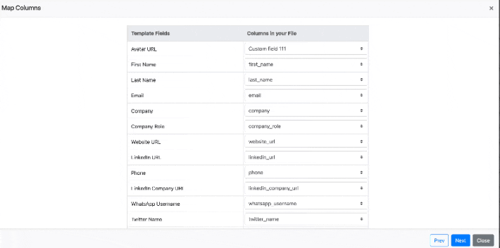 How can I import custom fields using a CSV file? screenshot 2