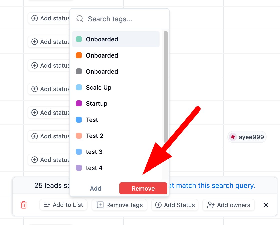 Can I bulk remove tags from leads? screenshot 1