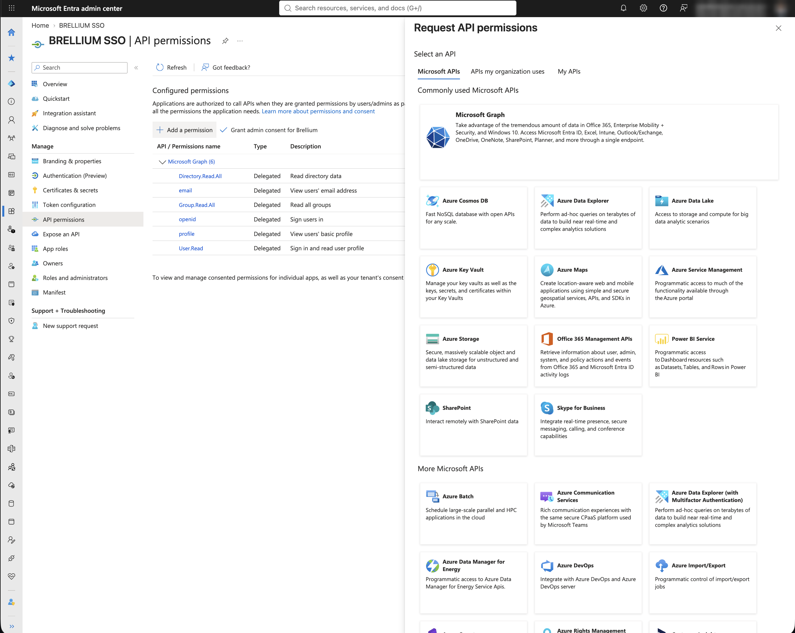 Request API permissions panel with the Microsoft APIs tab and the Microsoft Graph tile