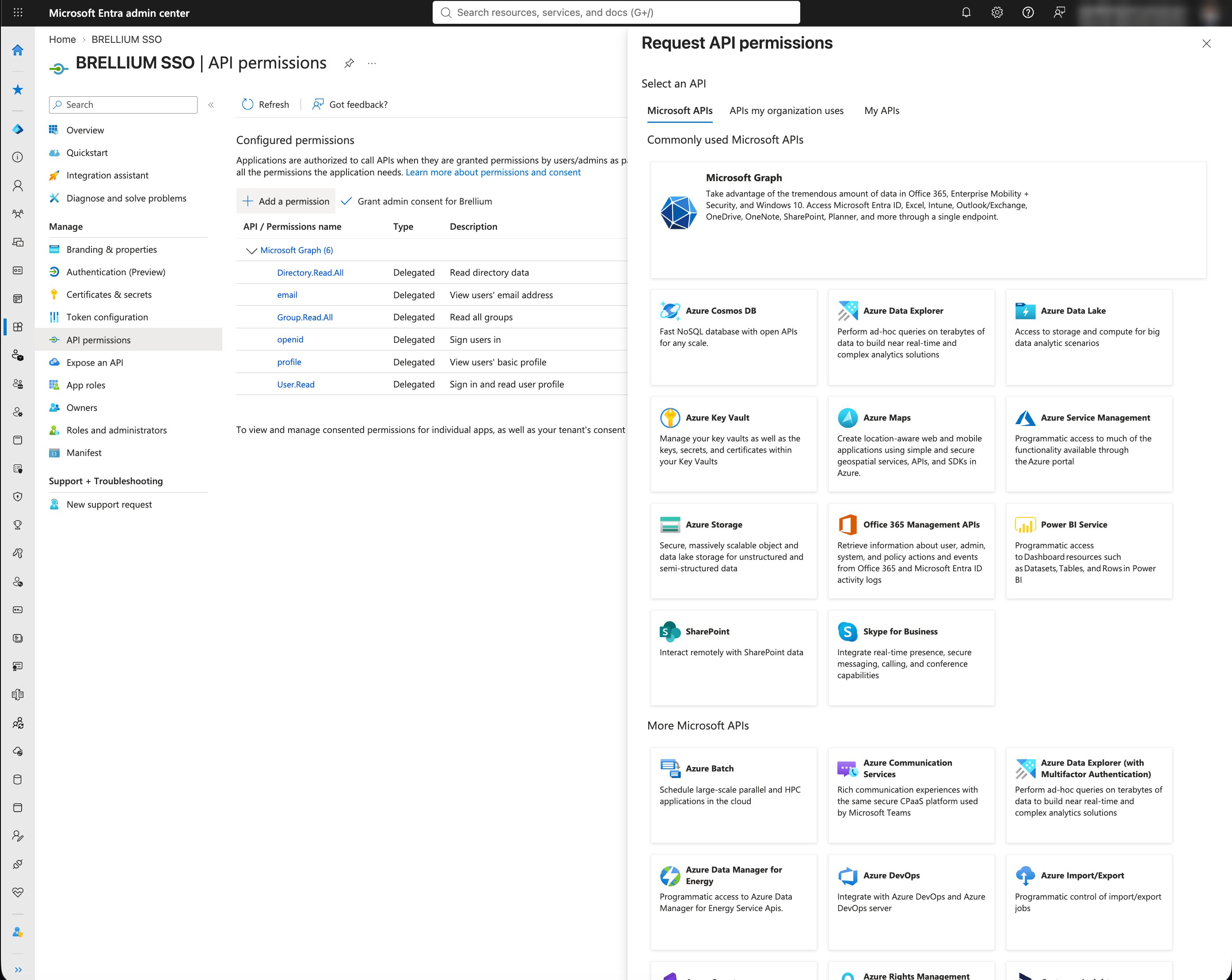 Request API permissions panel with the Microsoft APIs tab and the Microsoft Graph tile