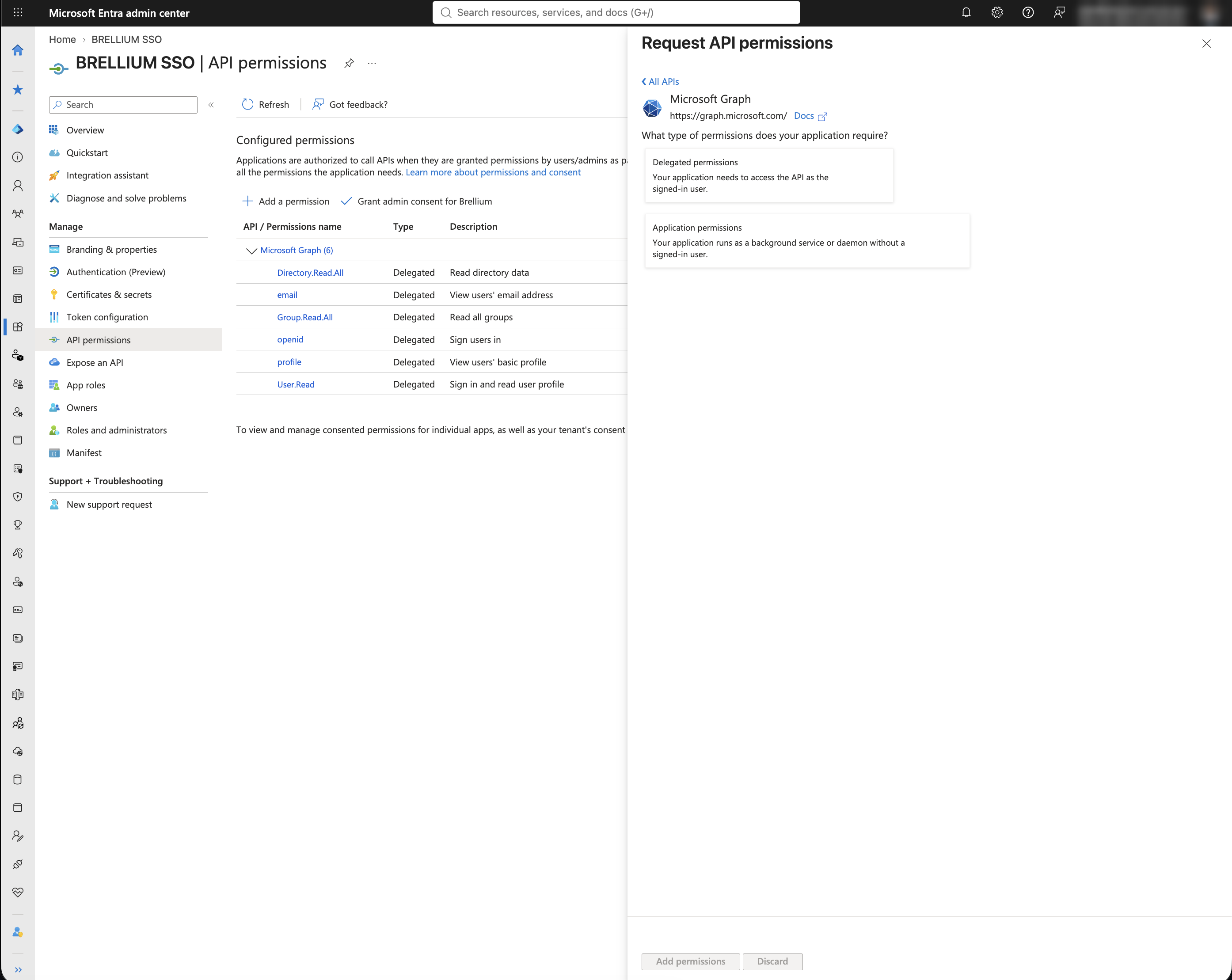 Request API permissions panel with the Delegated permissions and Application permissions options