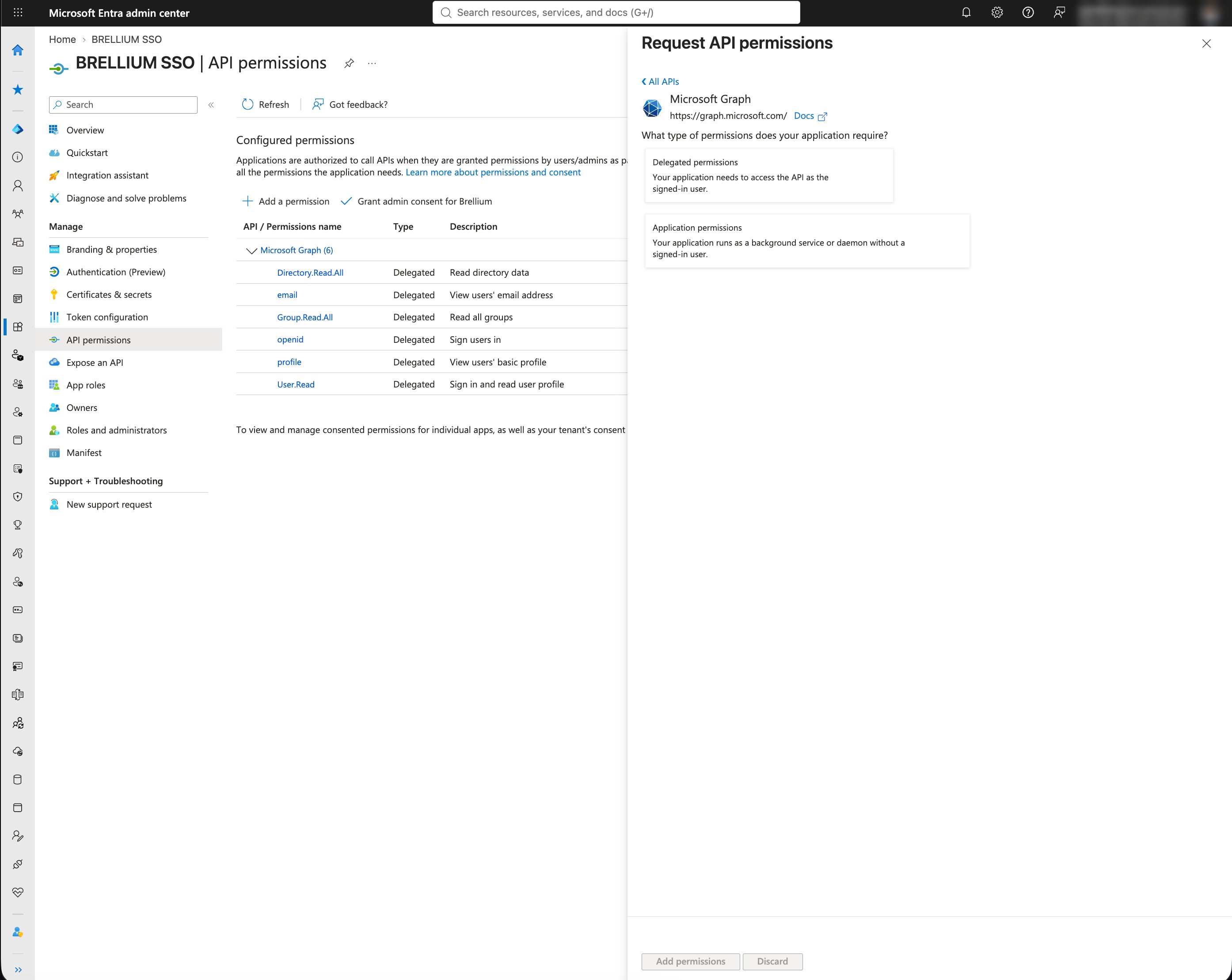 Request API permissions panel with the Delegated permissions and Application permissions options