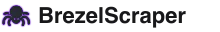 light logo