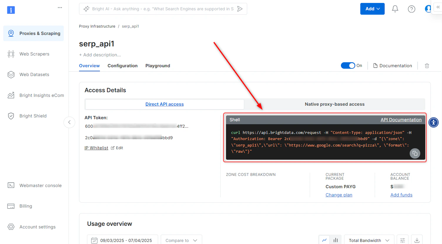 SERP API Overview 标签页