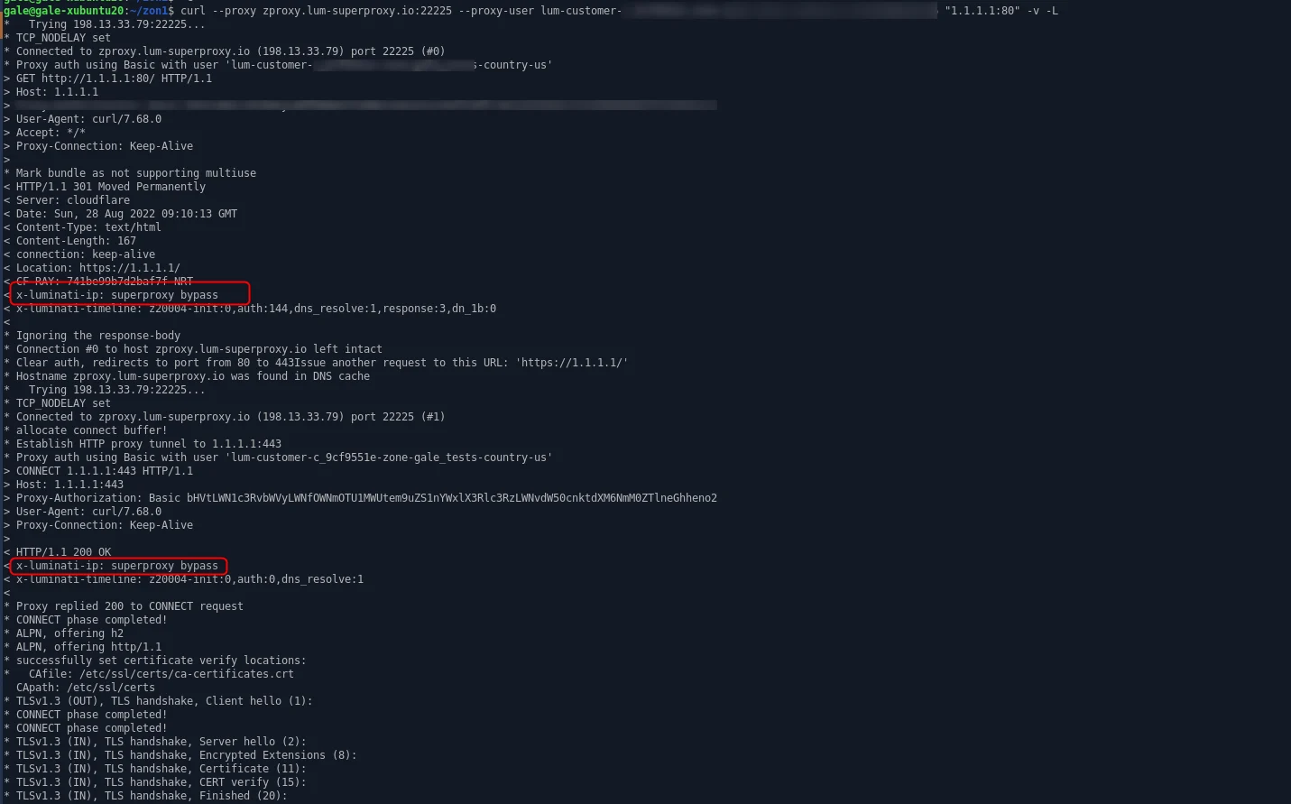 x-luminati-ip.png