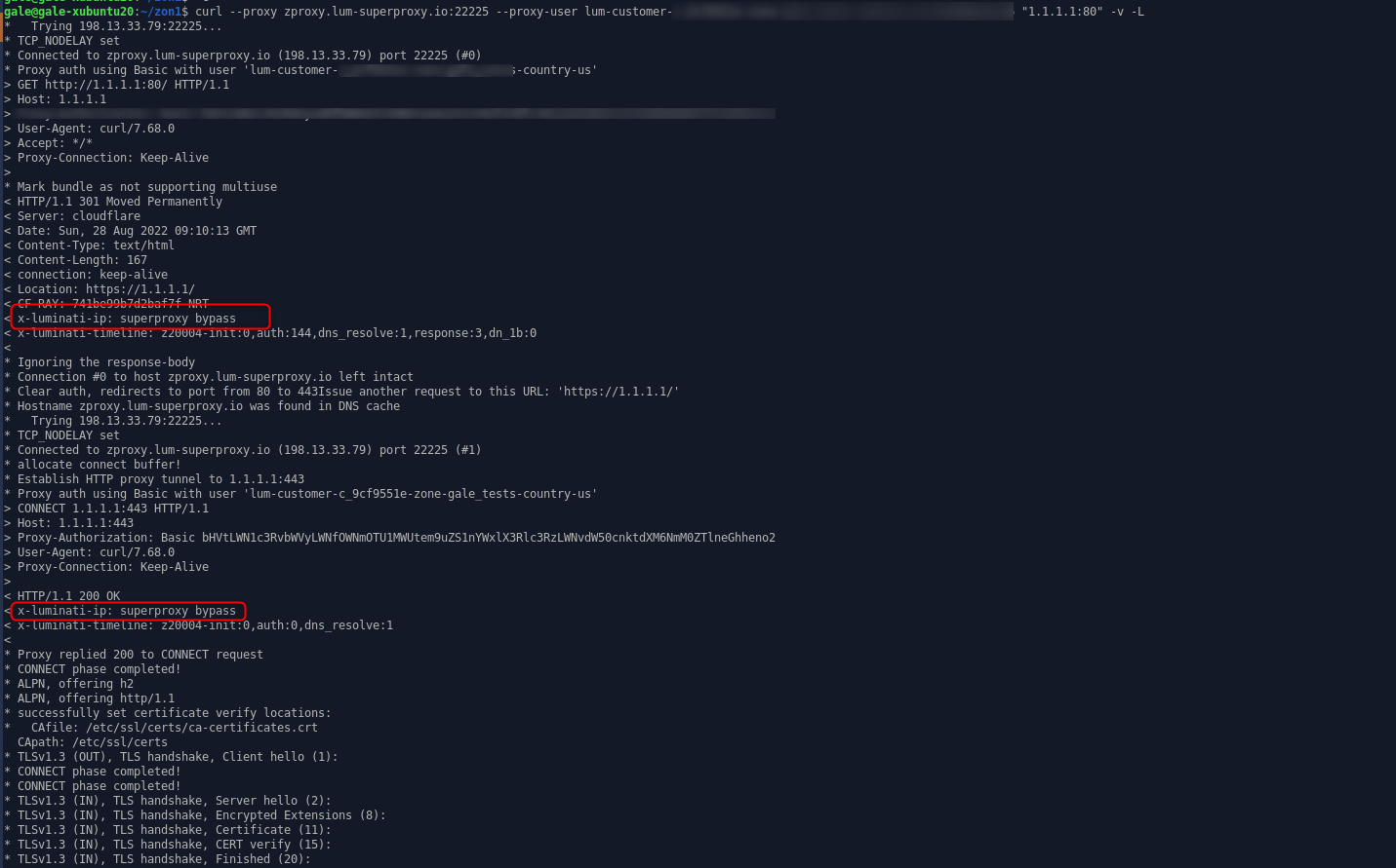 x-luminati-ip.png