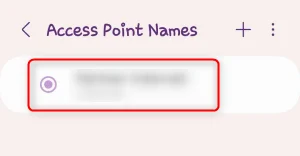 Step 3. Edit APN Details