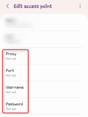 Step 3. Edit APN Details