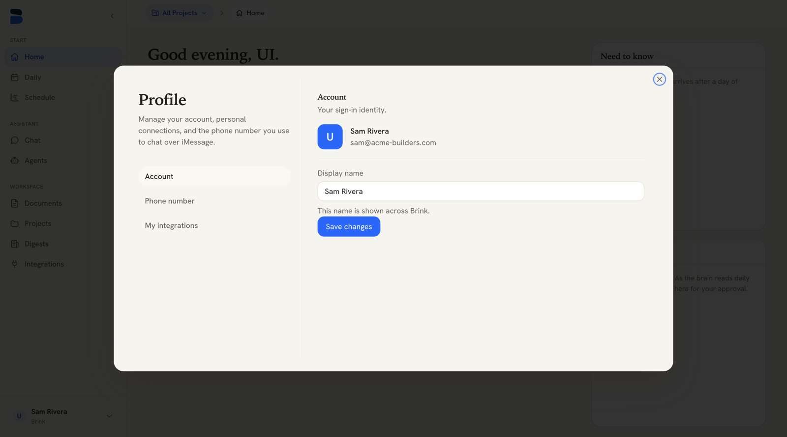 Brink profile page showing the Account tab with the display name field
