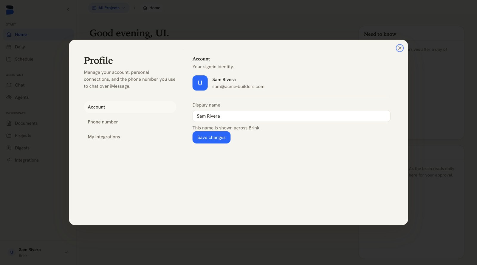 Brink profile page showing the Account tab with the display name field