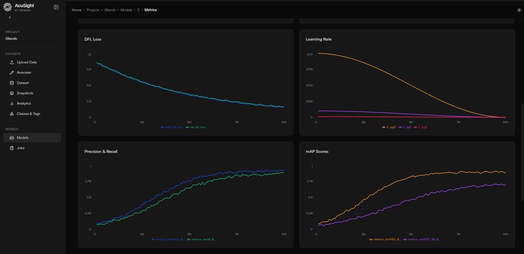 Model metrics graphs