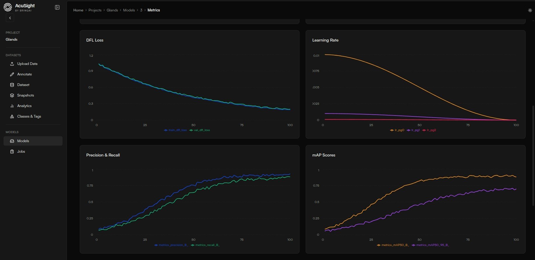 Model metrics graphs