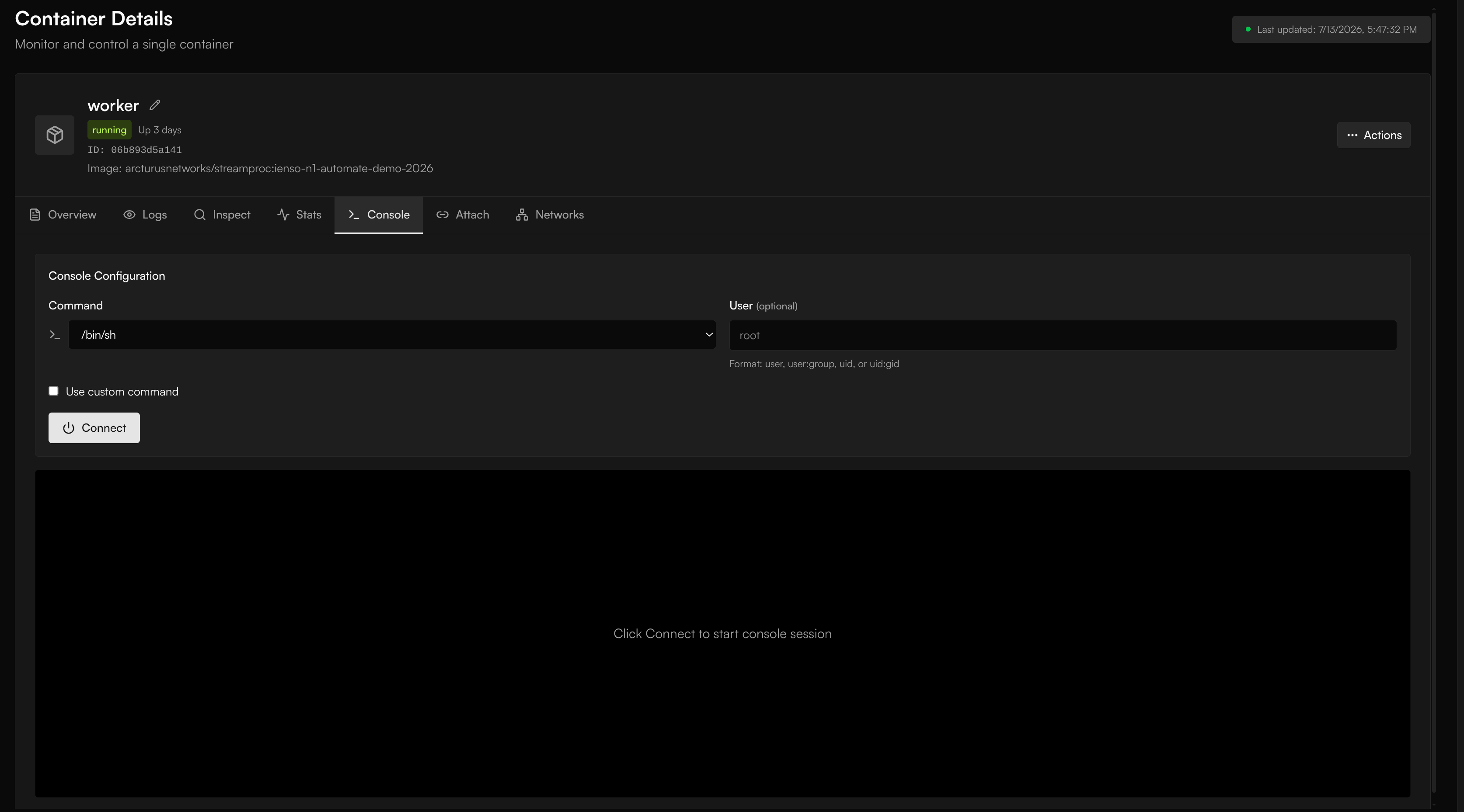 Container Details Console tab with command and user fields and a Connect button