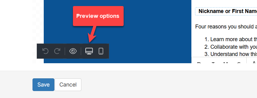 Email template preview options