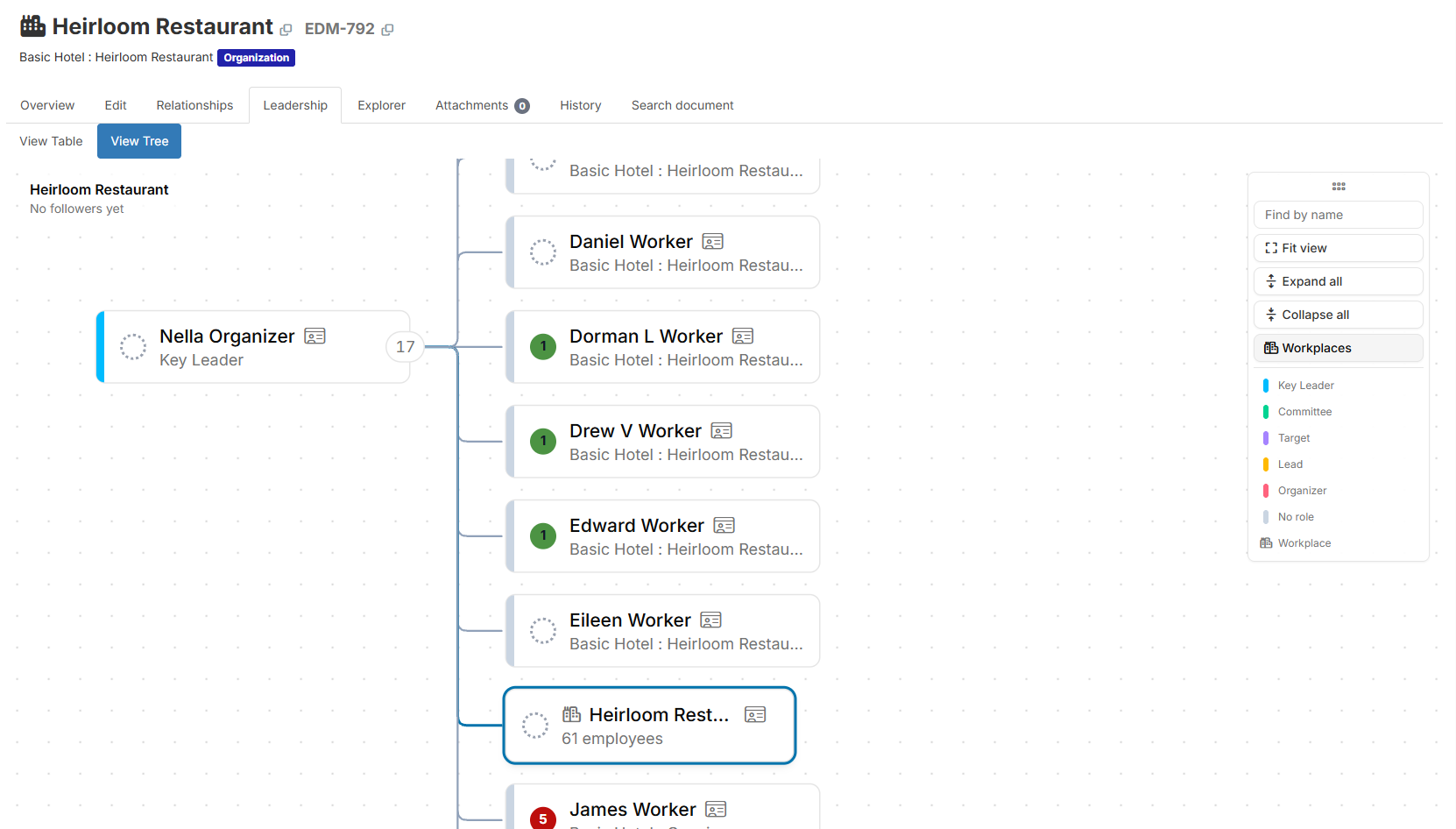 Leader tree showing a left-to-right hierarchy of person and workplace cards with role-colored sidebars