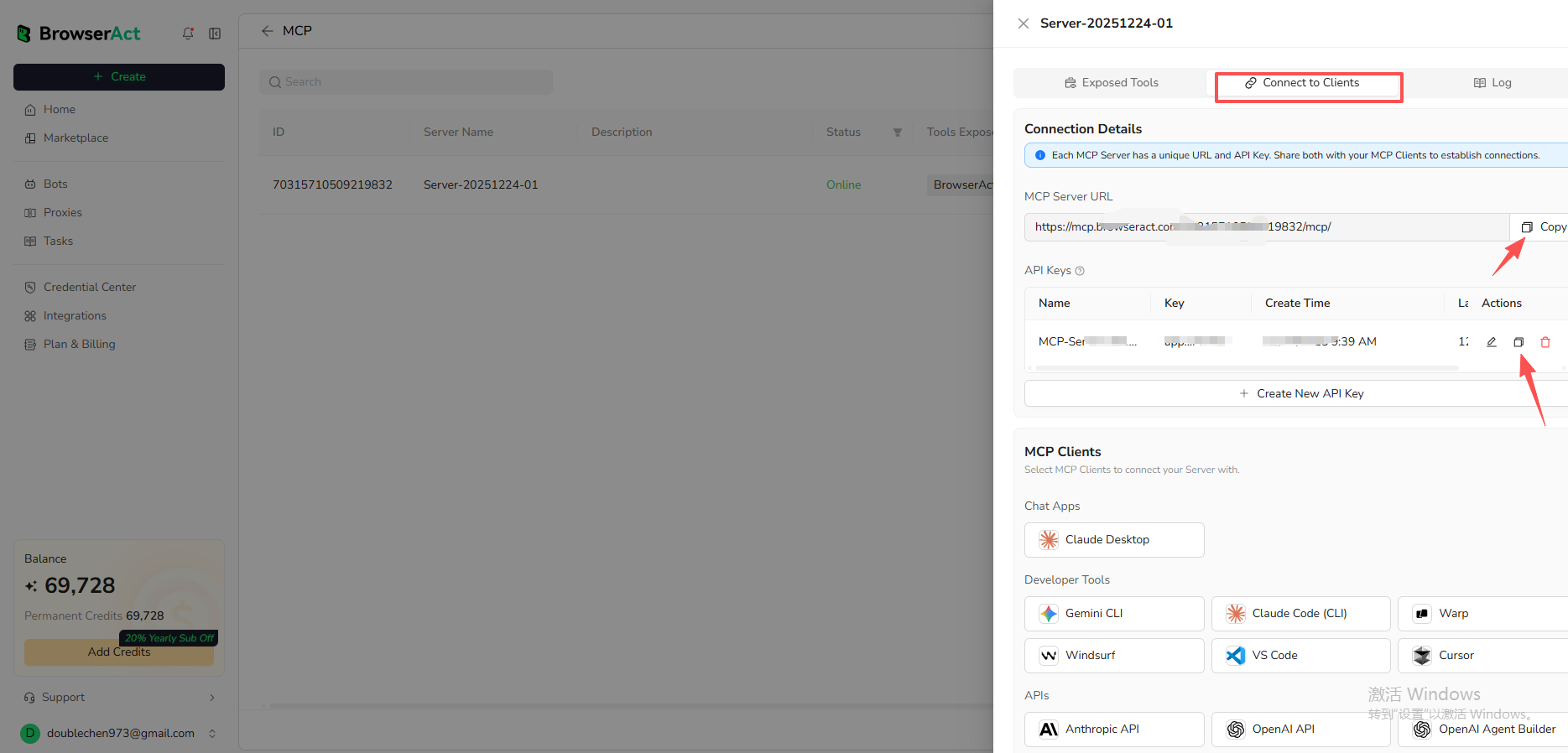 Copy the MCP Server URL and API Key
