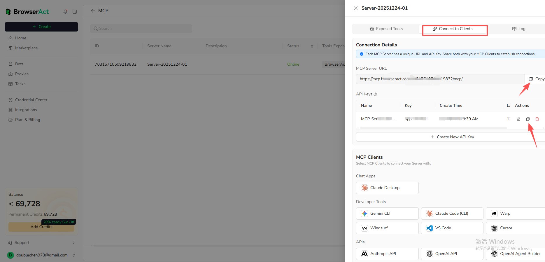 Copy the MCP Server URL and API Key
